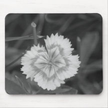 Cultivated Mousepads