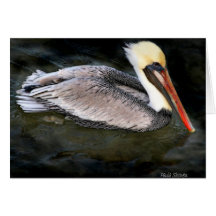 Culture 11X14 de BB d'IMG_8826 F Carte De Vœux