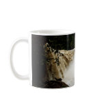 Cumberland Falls, KY Mug