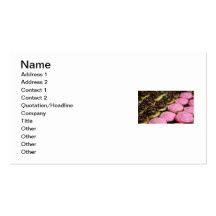 CUPCAKES BUSINESS CARDS