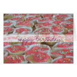 Cupcakes, Happy Birthday Card