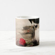 Curiosity Cup Mugs