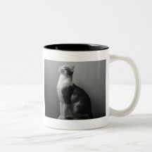 Curiosity Mug