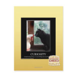 Curiosity Postcard