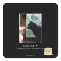 Curiosity Stickers