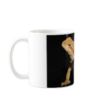 Curious Bearded Dragon 3 Mugs