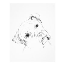 Curious Boxer Pup Letterhead Template