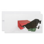 Curious Christmas cat Photo Greeting Card