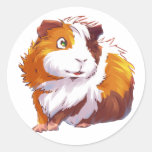Curious Guinea Pig Round Stickers