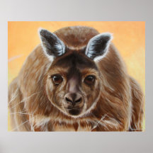 CURIOUS POSTERS