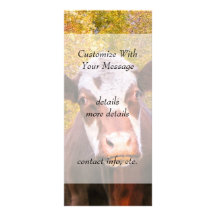 Curious Red Cow Custom Rack Cards