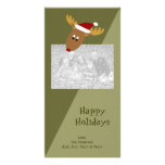 Curious Reindeer Holiday Photo Cards