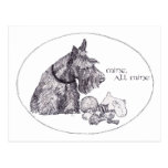 Curious Scottish Terrier Mine, all Mine Postcards