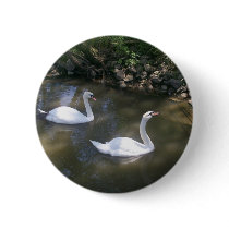 Curious Swans Button