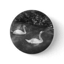 Curious Swans Button