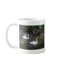 Curious Swans Mug