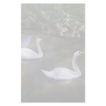 Curious Swans Stationery