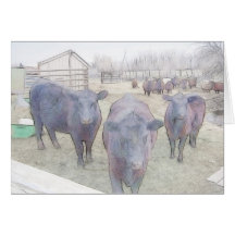 Curious Young Black Angus Greeting Card