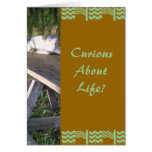 CuriousAbout Life? Greeting Cards