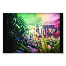 Curl Photo Print