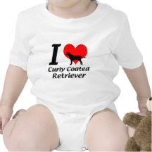 Curly Coated Retriever Barboteuses