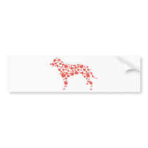 Curly-Coated Retriever