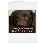 Curly-Coated Retriever Greeting Card