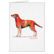 Curly-Coated Retriever Greeting Card
