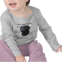 Curly-Coated Retriever History Design