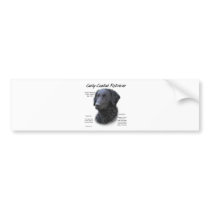 Curly-Coated Retriever History Design