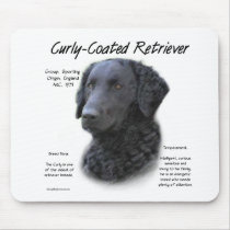 Curly-Coated Retriever History Design