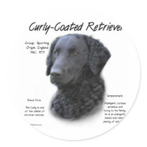 Curly-Coated Retriever History Design
