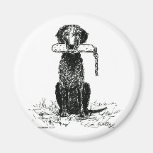 curly coated retriever magnets