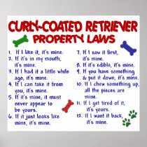 CURLY-COATED RETRIEVER PL2