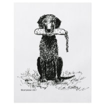 Curly Coated Retriever with Bumper Custom Flyer