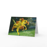 Curly Daylily Sympathy Card