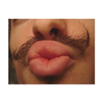 Curly Moustache Smooches Postcard by segrid