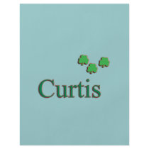 Curtis Family Flyer