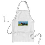 Curtis P-40 Warhawk Apron