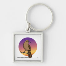 Curved Billed Thrasher rev.2.0 Buttons and Flair Key Chains