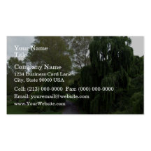 Curved road down a country lane lined green trees business cards