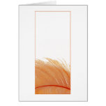 Curvey Card