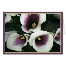 Curvy Callas Greeting Card