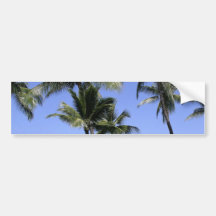 Curvy Palm Trees and Ocean Bumper Stickers