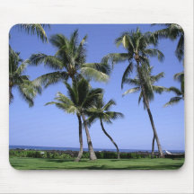 Curvy Palm Trees and Ocean Mousepads