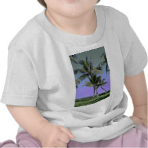 Curvy Palms and Colourful Sky Tshirts