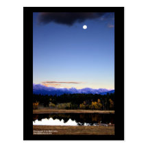 Cushman Ranch Postcard