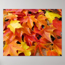 Custom Autumn Leaves art prints Fall Holidays