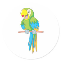 Custom Cute Parrot Cartoon