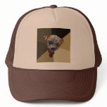 Custom Cynical Dog Hat